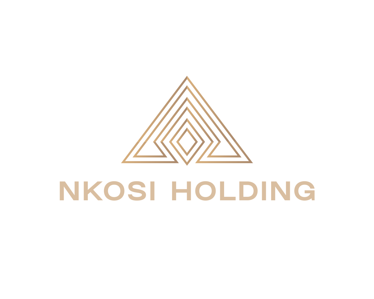 Nkosi Holding